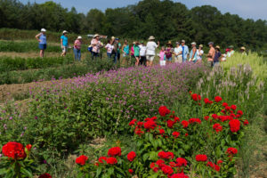 Cover photo for 45 Farms on the Piedmont Farm Tour April 28-29!