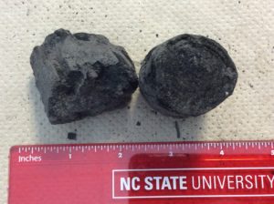 Natural charcoal
