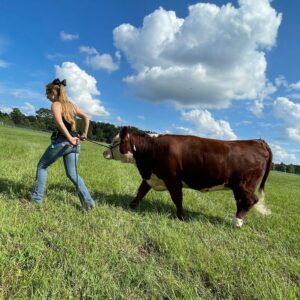 Cover photo for Cattlemen's Association Scholarship