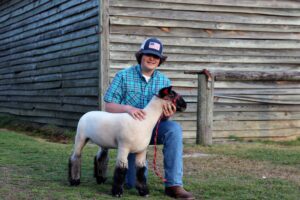 4-H leap into sheep livestock show
