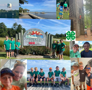 A collage of 4-H'ers exploring the state.
