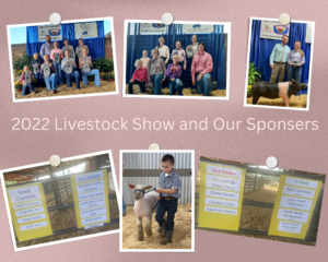 A collage of the pictures from the 2022 livestock show. A child is standing with his sheep. Groups of people pose together and with animals.