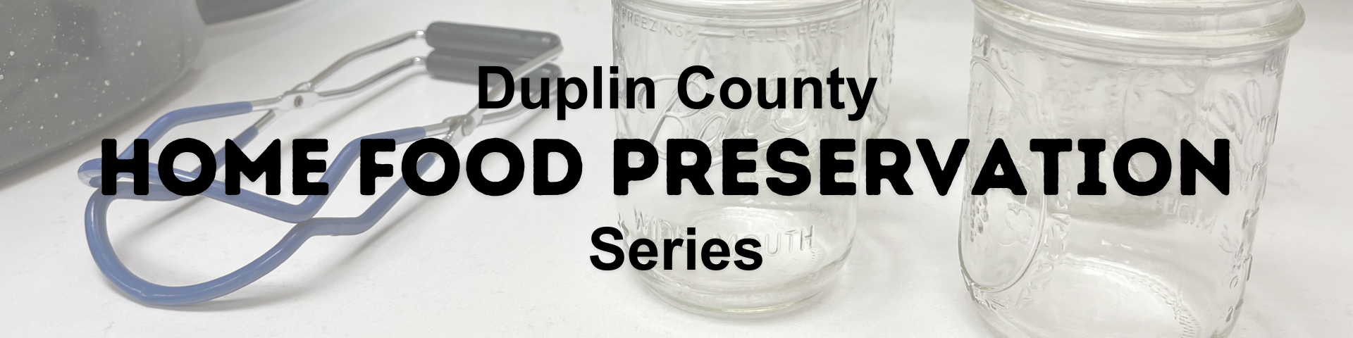 Duplin county home food preservation series
