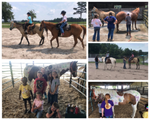 Cover photo for Duplin County 4-H Horsing Around