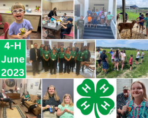 Cover photo for June 4-H Summer Camp - Learning, Growing and Having Fun