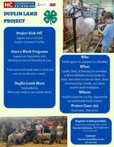 Cover photo for Duplin County 4-H Lamb Project