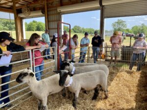 Cover photo for Youth Livestock Program Agent & Volunteer Training